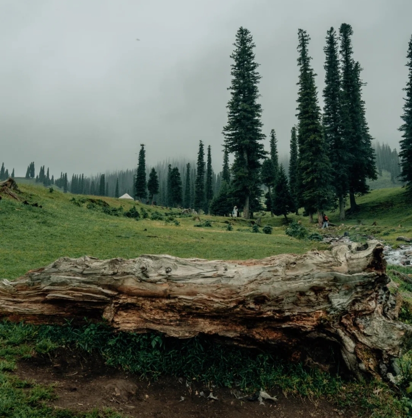 北疆纯玩+独库公路