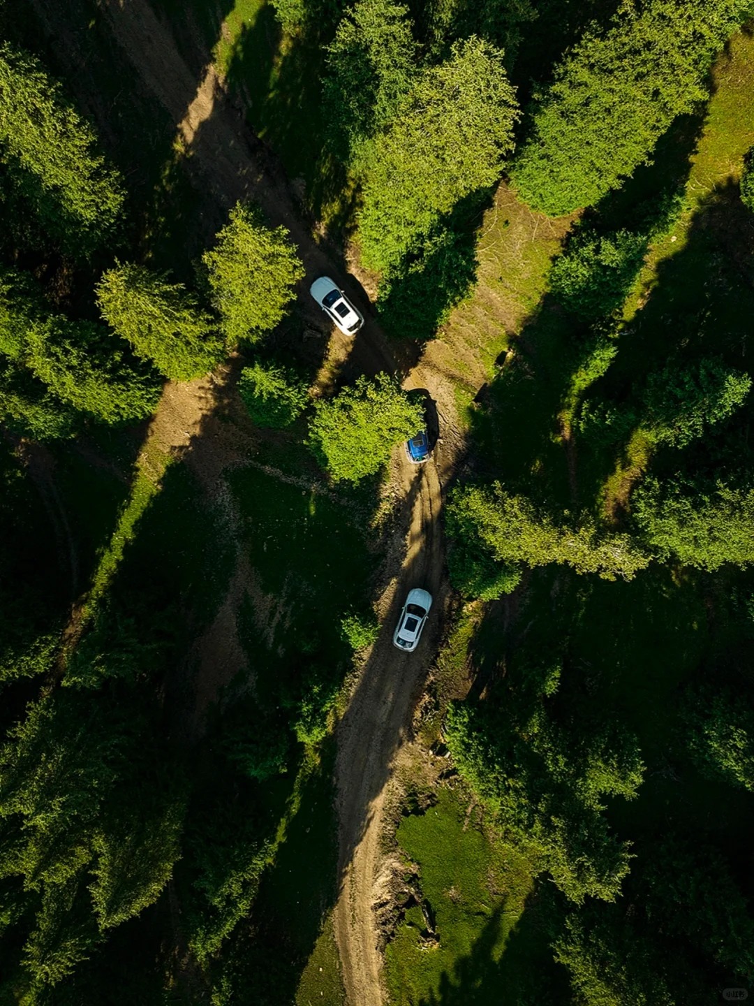 新疆无购物团推荐:拒绝套路,把时间留给真正的风景